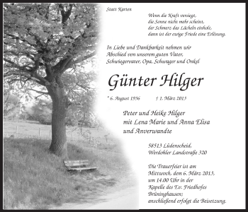 Traueranzeige von Günter Hilger von MZV