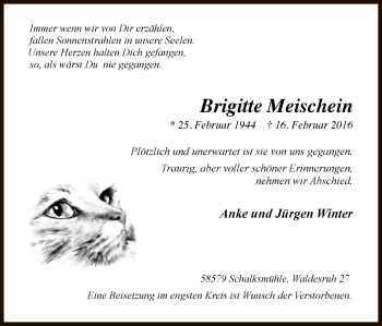 Traueranzeige von Brigitte Meischein von MZV