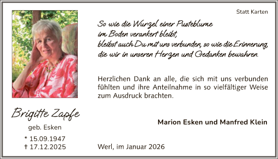 Traueranzeige von Brigitte Zapfe von HASO