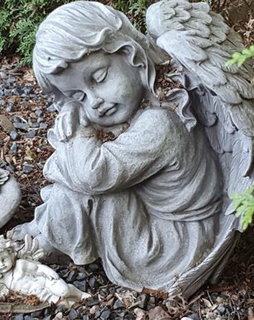 Profilbild von Alfred Gabbert